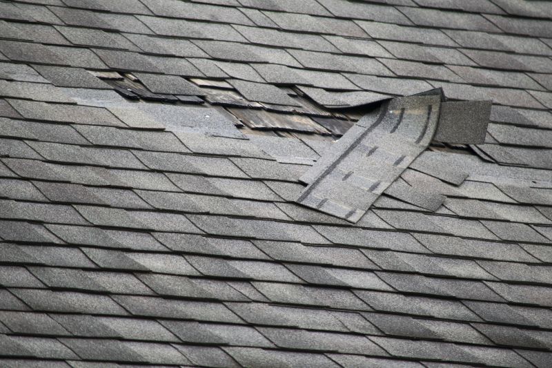 Loose Shingle Fix